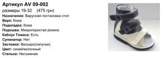 Антиварусная обувь 