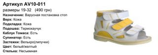 Антиварусная обувь 
